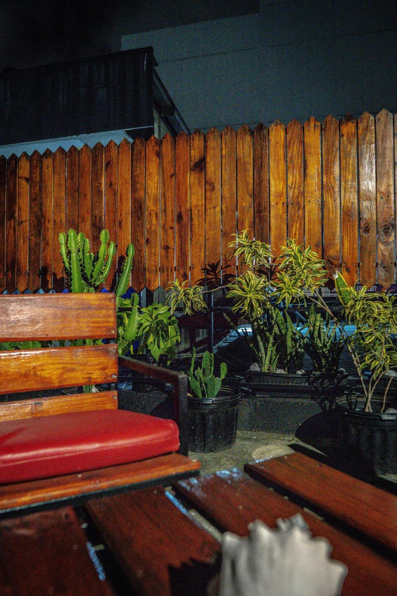 Eden'S Garden Hostel ปานามาซิตี้ ภายนอก รูปภาพ